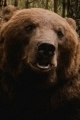 Том