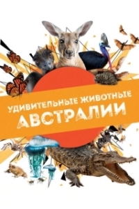 Удивительные животные Австралии 

