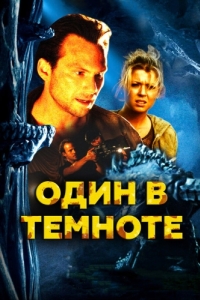 
Один в темноте (2004) 