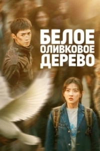 Белое оливковое дерево (1 сезон) 
