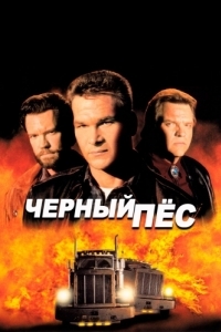 
Черный пес (1998) 