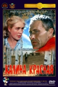 Постер Калина красная