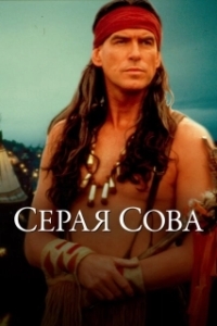 
Серая сова (1999) 