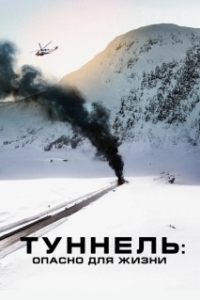 
Туннель: Опасно для жизни (2019) 