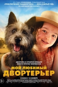 
Мой любимый двортерьер (2024) 