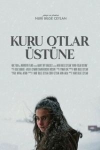 
О сухой траве (2023) 