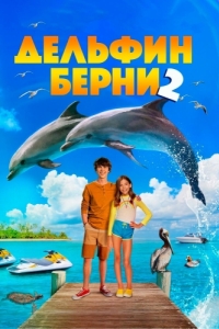 
Дельфин Берни 2 (2019) 