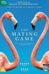 Постер Брачная Игра (The Mating Game)