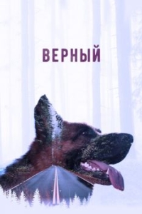 
Верный (2016) 