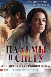 
Пальмы в снегу (2015) 