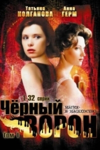 Постер Черный ворон