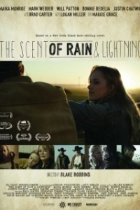 
Запах дождя и молнии (2016) 