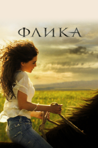 
Флика (2006) 