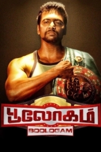 
Боксер (2015) 