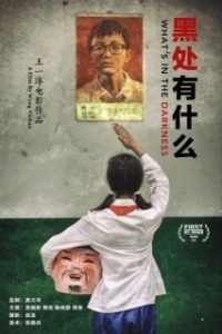 
Что скрывает тьма (2015) 