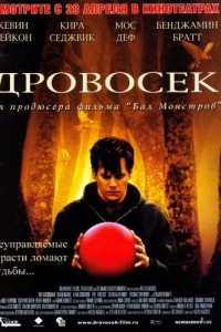 
Дровосек (2004) 