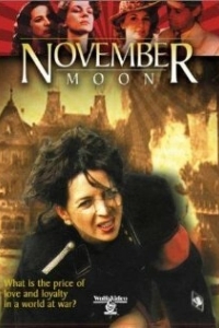 Постер Ноябрьская луна (Novembermond)