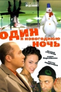 
Один в новогоднюю ночь (2006) 