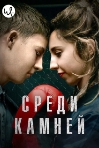 Среди камней 
