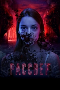 Постер Рассвет
