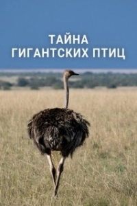 
Тайна гигантских птиц (2024) 