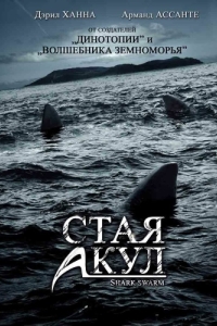 
Стая акул (2008) 