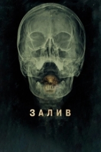 
Залив (2012) 