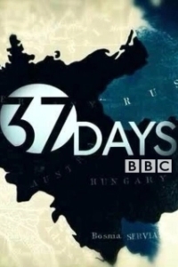 Постер 37 дней (37 Days)