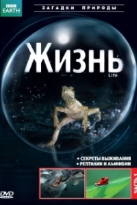 Постер BBC: Жизнь (Life (UK))