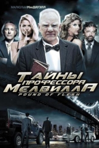 
Тайны профессора Мелвилла (2010) 