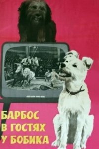 Постер Барбос в гостях у Бобика