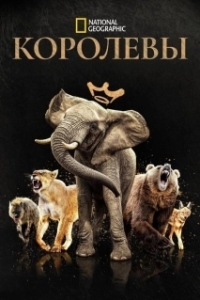Королевы (1 сезон) 
