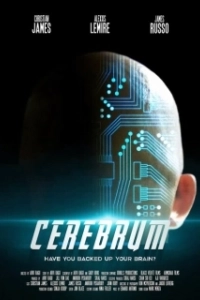 Постер Мозг (Cerebrum)