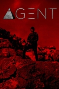 
Агент (2017) 