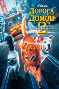 
Дорога домой 2: Затерянные в Сан-Франциско (1996) 