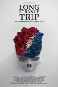 
Долгое странное путешествие (2017) 