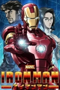 
Железный человек (2010) 