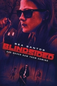 Постер Темнее ночи (Blindsided)