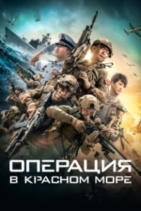 
Операция в Красном море (2018) 