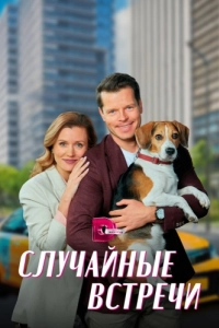 Постер Случайные встречи