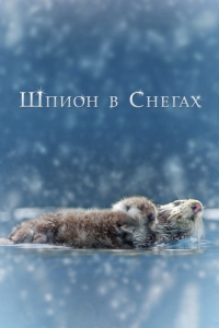 
Шпион в снегах (2018) 