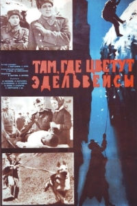 
Там, где цветут эдельвейсы (1965) 