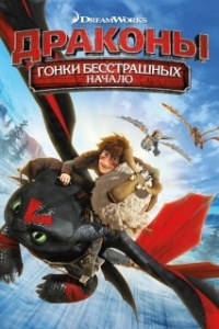 
Драконы: Гонки бесстрашных. Начало (2014) 