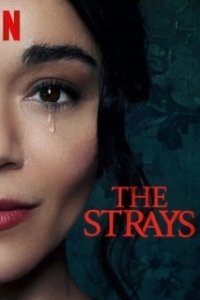 Постер Бродяги (Strays)