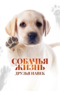 
Собачья жизнь: Друзья навек (2023) 