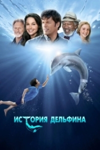
История дельфина (2011) 