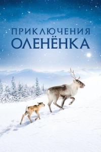 
Приключения олененка (2018) 