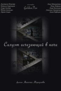 Постер Силуэт, исчезающий в ночи
