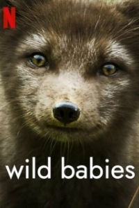 Постер Детки не в клетке (Wild Babies)