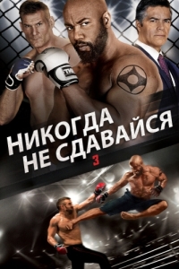 
Никогда не сдавайся 3 (2016) 